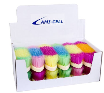 Partrade 8" Rainbow Dandy Brush