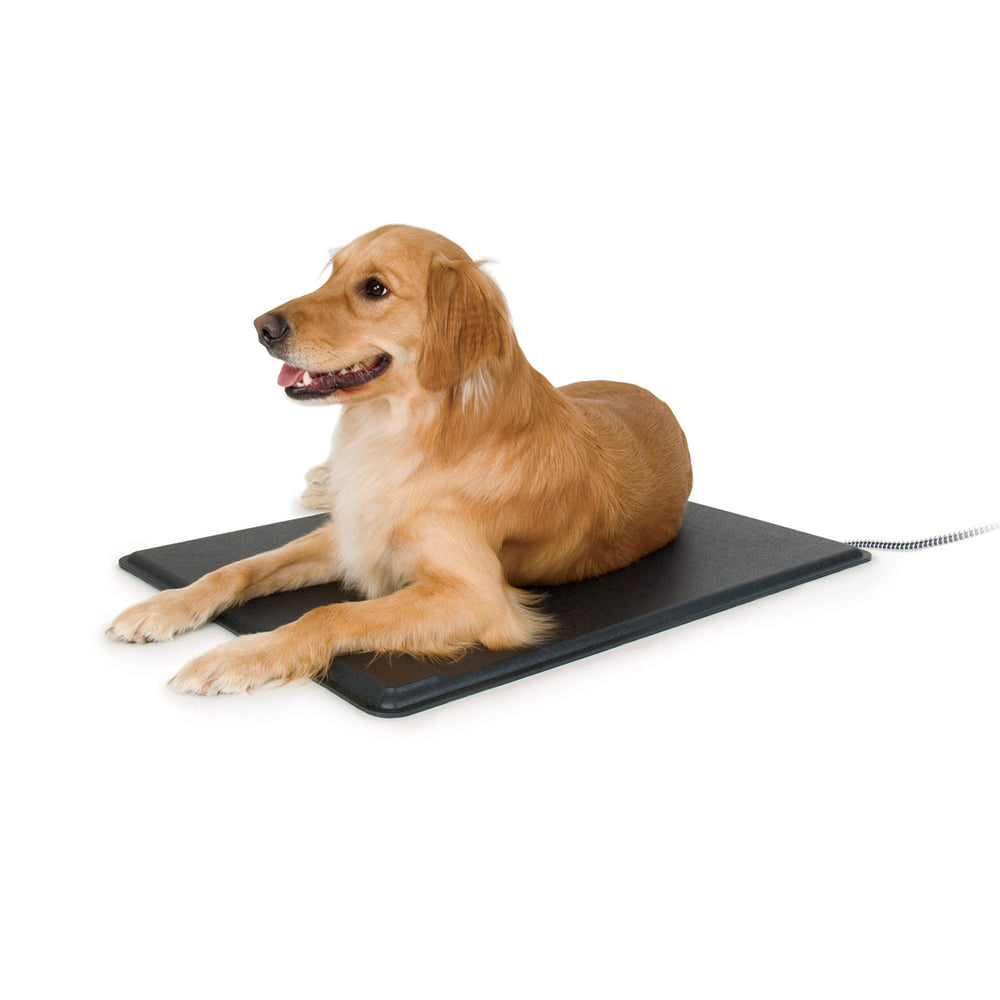 Liquid error (sections/main-product line 29): wrong number of arguments (given 2, expected 1)