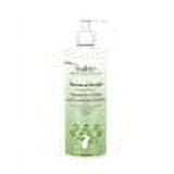 Babo Botanicals Swim & Sport Citrus Mint Shampoo & Wash