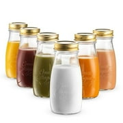 Bormioli Rocco Quattro Stagioni Bottles (Set of 6) - 13.5 Oz. Clear Glass with Twist Lids for Food Preserving, Beverage Serving, Homemade Gifts, Sauces & Infused Drinks - Airtight, Made in Italy
