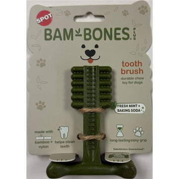 Spot 55013 4 in. Bambone Plus Toothbrush Dog Toy, Mint