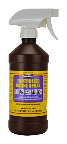 Liquid error (sections/main-product line 29): wrong number of arguments (given 2, expected 1)