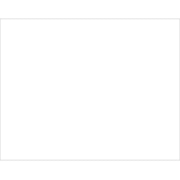 BAZIC Products Poster Board White 22" X 28", White Poster Board Paper, Bulk Boards for School Craft Project Presentation Drawing Graphic Display, 1 Unit