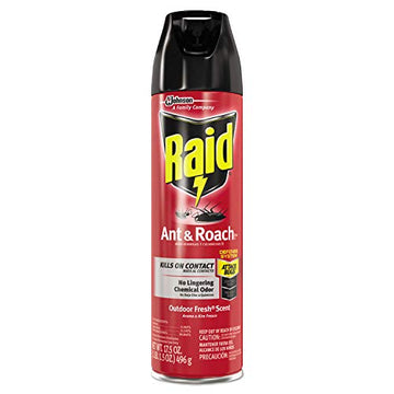 Ant and Roach Killer, 17.5oz Aerosol