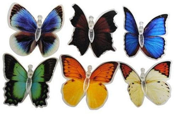 bulk buys IIT Butterfly Light, Multi