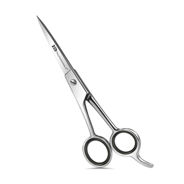 HB Professionals Hair Cutting And Hair Dressing Shears - 5.5 Inches - Premium Stainless Steel Scissors - Razor Edge Sharp Blades - For Salons, Professional Barbers, Men & Women, Kids, Pets (Silver)