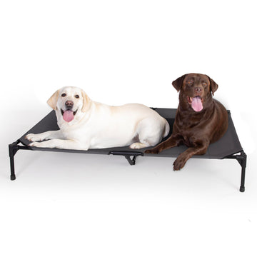 K&H Pet Products Outdoor Elevated Dog Cot, Breathable Cooling Elevated Cot Hammock Pet Bed for XL Dogs, Washable Mesh Cover, Raised Metal Frame, Collapsible, Portable - Jumbo 56 X 38in Charcoal