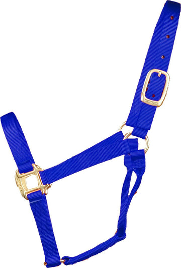 Hamilton Halter QLTY Econo Blue