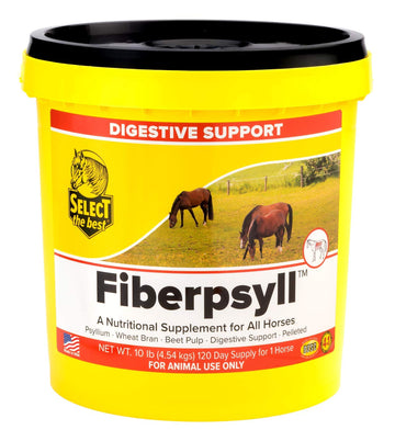 RICHDEL Fiberpsyll Valupak Bag
