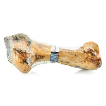 Barkworthies Femur Bone Chew For Pets