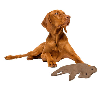 SPOT Dura-Fused Leather Buffalo Dog Toy – Durable Real Leather & Jute Chew Toy with Squeaker, Double-Stitched for Moderate Chewers, Medium & Large Dogs, 11.5in