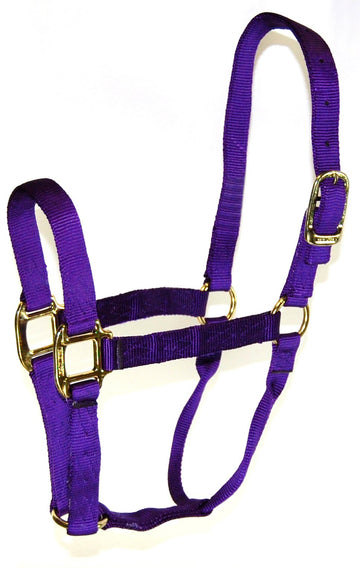 Hamilton 1-Inch Nylon Quality Halter for 500 to 800-Pound Horse, Small, Purple