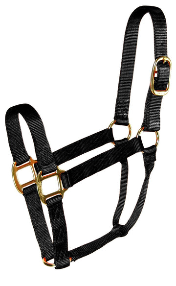 Hamilton Halter Qlty Econo Black