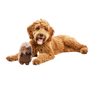 SPOT Corduroy Hedgehog Dog Toy with Squeaker, Textured Plush Toy for Small and Medium Dog Breeds, Light to Moderate Chewers, 8 Inch, Assorted Colors
