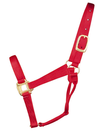 Hamilton Halter Qlty Econo Red