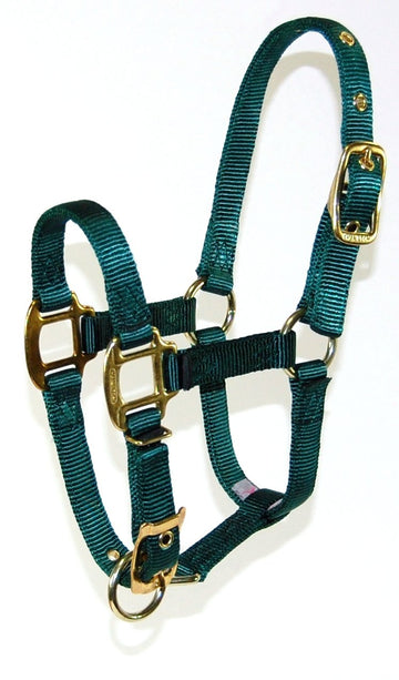 Hamilton 3/4 Inch Nylon Adjustable Horse Halter, Foal 100 to 200 lbs, Dark Green