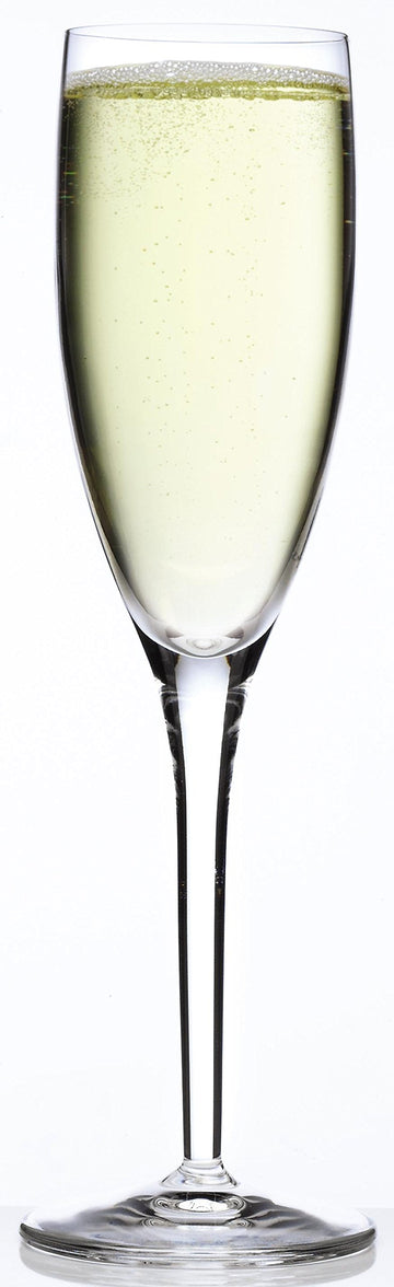 Luigi Bormioli Set of 4 Michelangelo Masterpiece 6.75-Oz. Champagne Flute Glasses