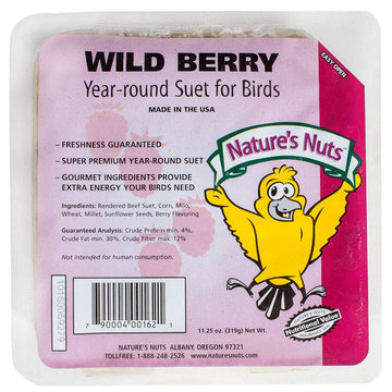 Nature's Nuts Wild Berry Suet- (12 ea/case)