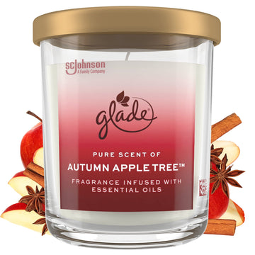 Glade Candle Jar, Large Candle Infused with Essential Oils, Air Freshener for Home Decor, Autumn Apple Tree, 16oz