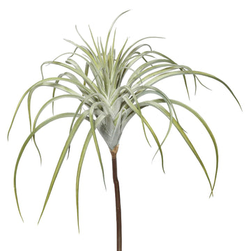 Vickerman Everyday 20.5" Indoor Artificial Green Tillandsia Pick - Decorative Pick of Durable Polyester Greenery for Home Or Office - Maintenance Free
