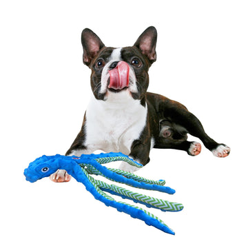 SPOT Skinneeez Extreme Octopus Dog Toy – 16” Stuffing-Free Plush Toy for Small/Medium Dogs with Squeaker – Great for Puppies & Light Chewers – Ripstop Mesh – Assorted Colors