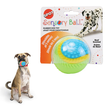 SPOT Sensory Ball Dog Toy for Soft Chewers – 3.25-Inch Durable TPR Rubber Ball with Squeaker and Bell, Textured for Gentle Chewing, High-Contrast Colors for Indoor & Outdoor Fetch Play