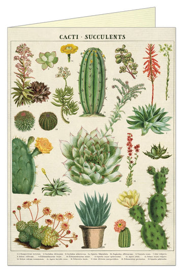 kabari-ni Greeting Cards Cactus 441925