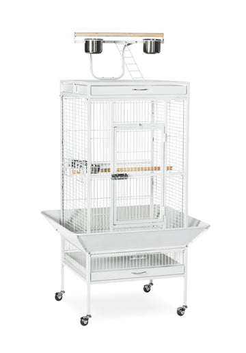 Prevue Pet Products Wrought Iron Select Bird Cage - Large Cage Ideal for Cockatiels, Conures, Quaker Parrots, Parakeets, Lovebirds, & Canaries, Rolling Stand with Wheels - Chalk White