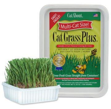 Miracle Care Cat A'bout Cat Grass Kit for Indoor Cats, 5.25 Ounce, Hairball Control, Anti-Inflammatory, Improves Digestion and Metabolism
