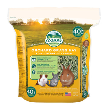 Oxbow Orchard Grass Hay for Small Pets – All-Natural Long Strand Fiber Hay for Rabbits, Guinea Pigs, Chinchillas, and Hamsters – Supports Digestive Health and Enrichment – 40 oz Bag