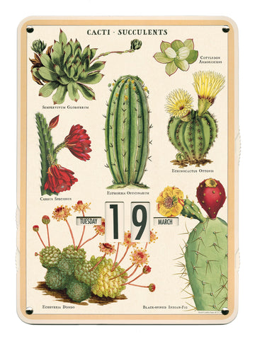 Succulents Perpetual Calendar