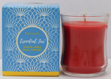 PARTYLITE POINSETTIA & MUSK ESSENTIALS JAR SCENTED CANDLE 8.4oz