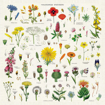 Cavallini & Co. Wildflowers Vintage Style Napkins, Set of 4, Assorted, Model Number: NPKN/WF
