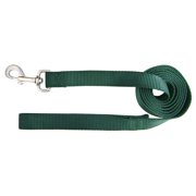 Hamilton 1-Inch Single Thick Nylon Lead with Swivel Snap , 6 feet, Dark Green