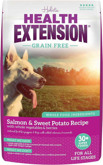 Health Extension Dry Dog Food Salmon & Sweet Potato Recipe Whole Vegetable & Berries(4 lb)| All Life Stages | Vitamins & Minerals | Sensitive Stomach