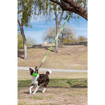 Jolly Pets JP071 Jolly Pets Tree Tugger Bungee, Green - Large