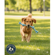 Mammoth Pet Extra Fresh 2 Knot Rope Bone 9" Mint Dental Floss Dog Toy