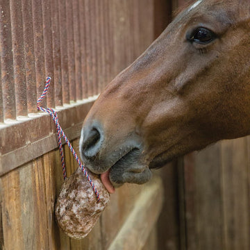 Redmond Equine Redmond Rock On Rope 3lb  One Size
