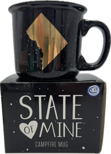 WASHINGTON D.C. CAMPFIRE MUG 13.5OZ
