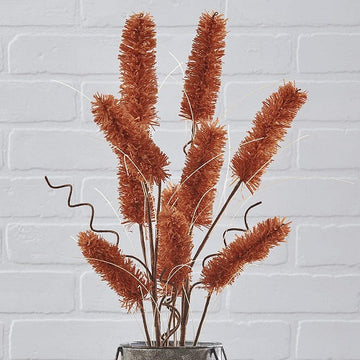 RUST BRISTLE PICK 2pc SET 27"L